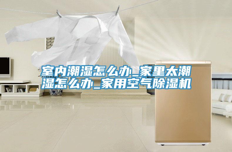 室内潮湿怎么办_家里太潮湿怎么办_家用空气猫咪成人官网