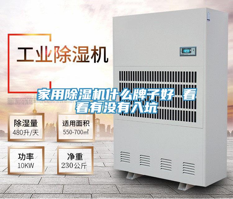 家用猫咪成人官网什么牌子好 看看有没有入坑