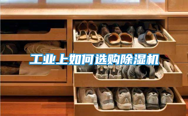 工业上如何选购猫咪成人官网