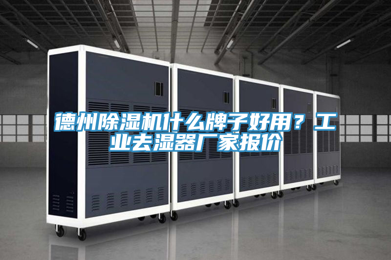 德州猫咪成人官网什么牌子好用？工业去湿器厂家报价