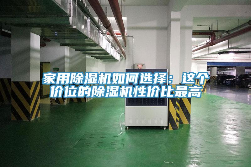 家用猫咪成人官网如何选择：这个价位的猫咪成人官网性价比最高