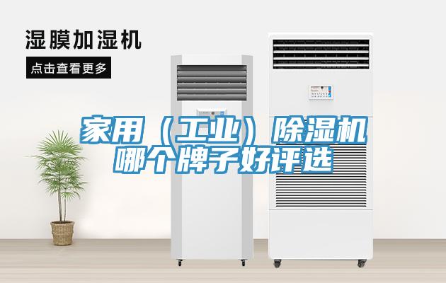 家用（工业）猫咪成人官网哪个牌子好评选