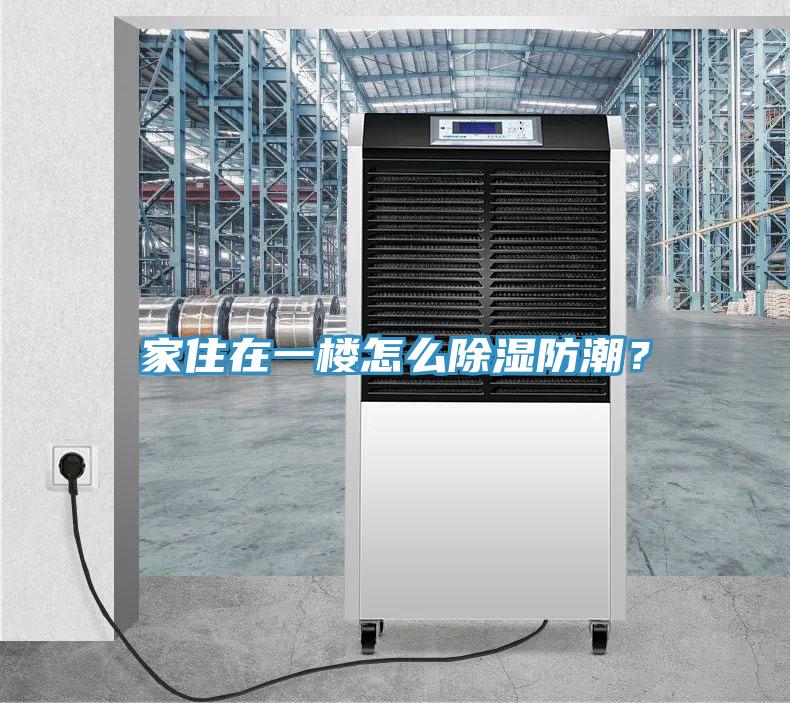 家住在一楼怎么除湿防潮？