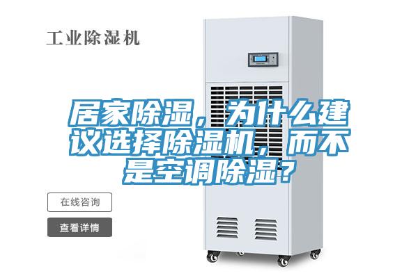 居家除湿，为什么建议选择猫咪成人官网，而不是空调除湿？