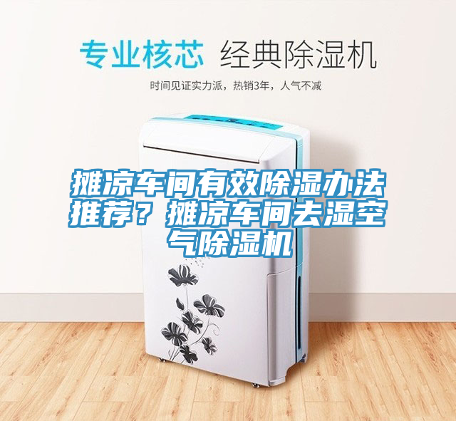 摊凉车间有效除湿办法推荐？摊凉车间去湿空气猫咪成人官网