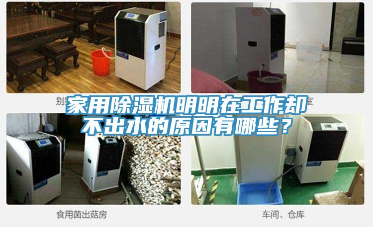 家用猫咪成人官网明明在工作却不出水的原因有哪些？