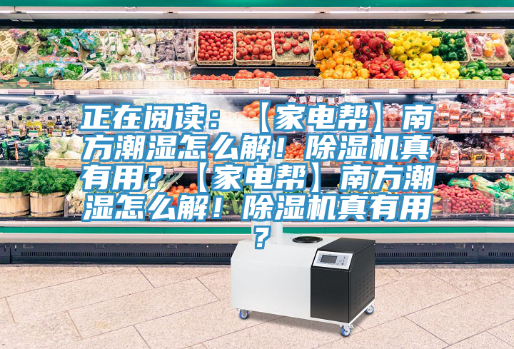 正在阅读：【家电帮】南方潮湿怎么解！猫咪成人官网真有用？【家电帮】南方潮湿怎么解！猫咪成人官网真有用？