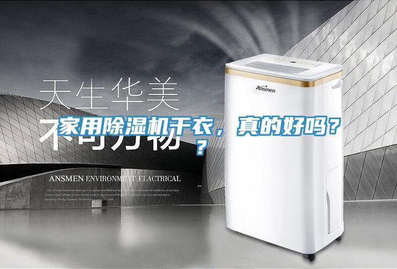 家用猫咪成人官网干衣，真的好吗？？