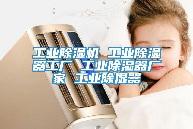 工业猫咪成人官网 工业除湿器工厂 工业除湿器厂家 工业除湿器