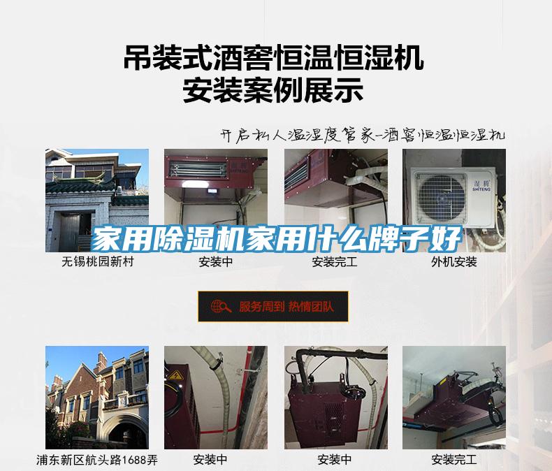 家用猫咪成人官网家用什么牌子好
