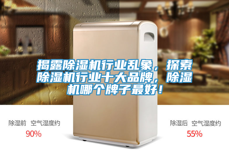 揭露猫咪成人官网行业乱象，探索猫咪成人官网行业十大品牌，猫咪成人官网哪个牌子最好！