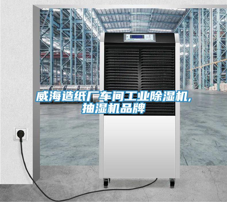威海造纸厂车间工业猫咪成人官网,抽湿机品牌