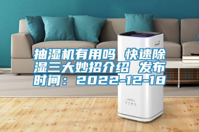 抽湿机有用吗 快速除湿三大妙招介绍 发布时间：2022-12-18