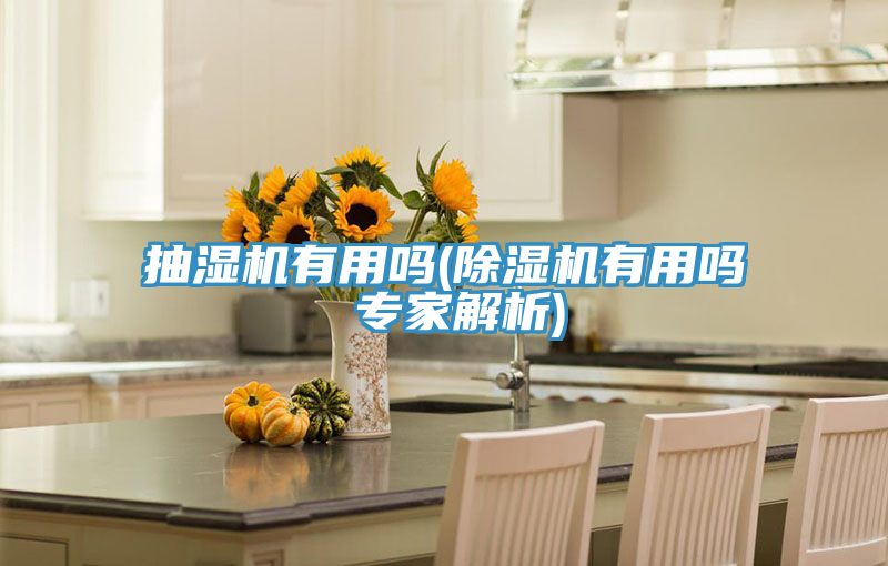 抽湿机有用吗(猫咪成人官网有用吗 专家解析)