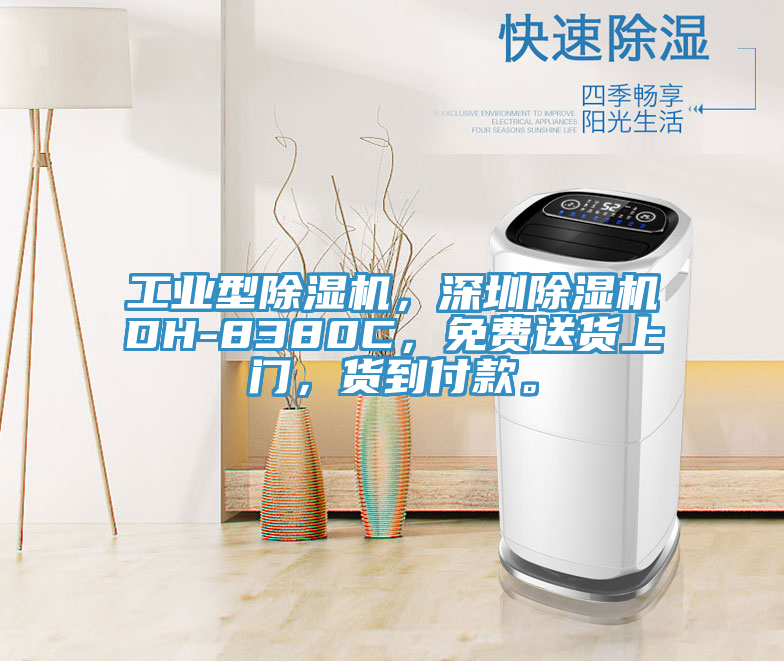 工业型猫咪成人官网，深圳猫咪成人官网DH-8380C，免费送货上门，货到付款。