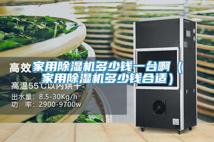 家用猫咪成人官网多少钱一台啊（家用猫咪成人官网多少钱合适）