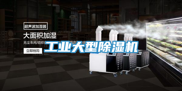 工业大型猫咪成人官网