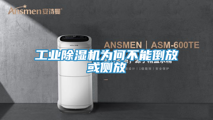 工业猫咪成人官网为何不能倒放或侧放