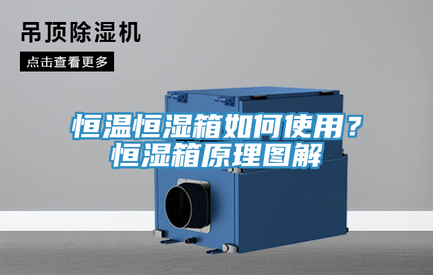 恒温恒湿箱如何使用？恒湿箱原理图解