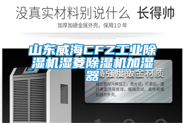 山东威海CFZ工业猫咪成人官网湿菱猫咪成人官网加湿器