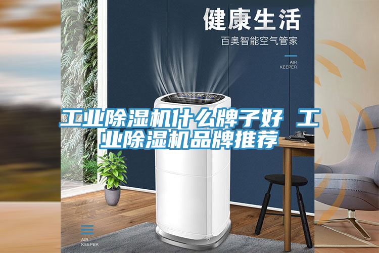 工业猫咪成人官网什么牌子好 工业猫咪成人官网品牌推荐