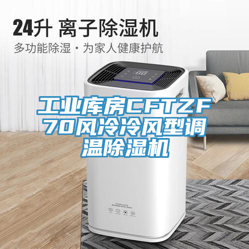 工业库房CFTZF70风冷冷风型调温猫咪成人官网