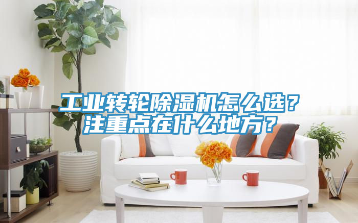 工业转轮猫咪成人官网怎么选？注重点在什么地方？