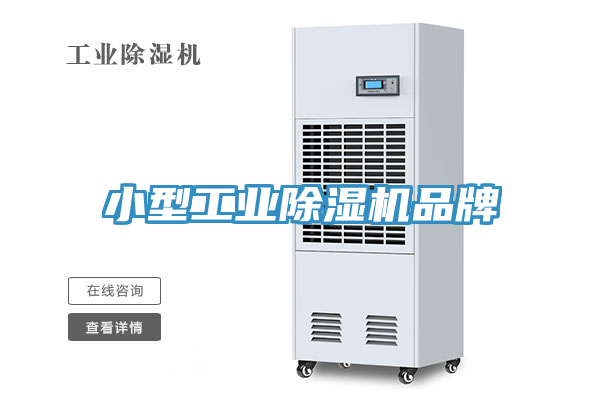 小型工业猫咪成人官网品牌