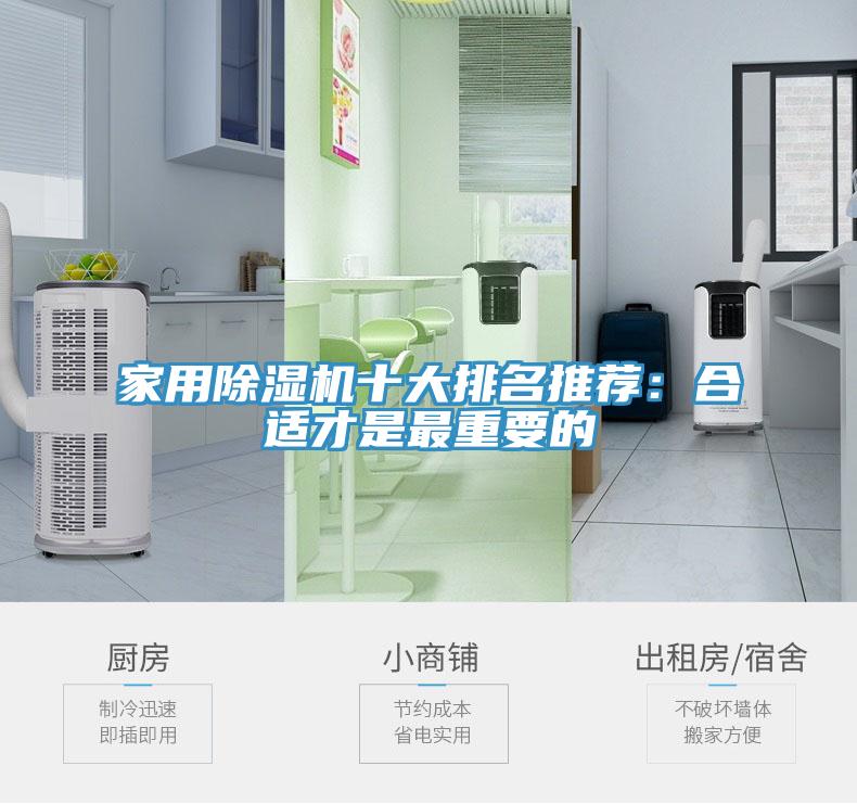 家用猫咪成人官网十大排名推荐：合适才是最重要的