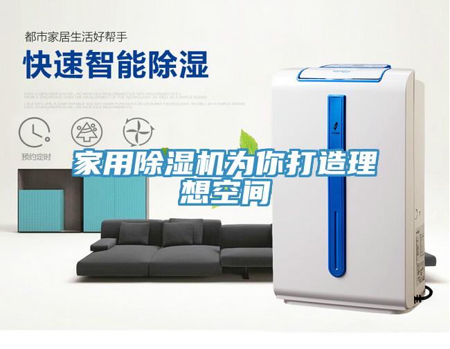 家用猫咪成人官网为你打造理想空间