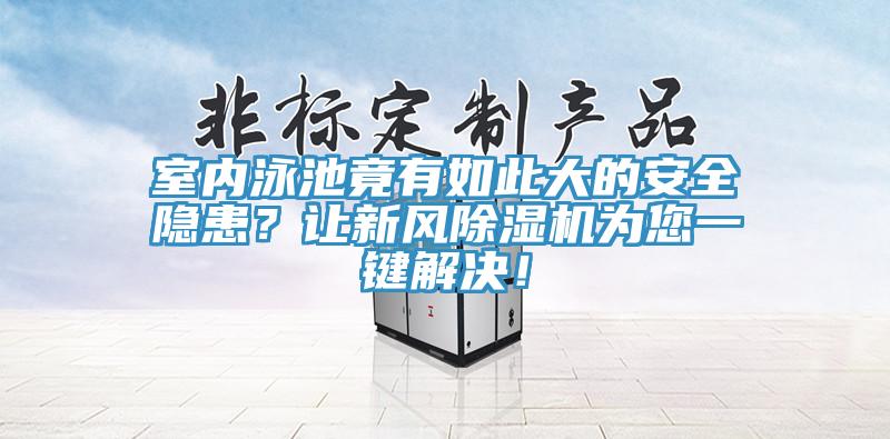 室内泳池竟有如此大的安全隐患？让新风猫咪成人官网为您一键解决！