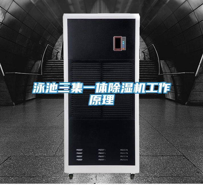 泳池三集一体猫咪成人官网工作原理