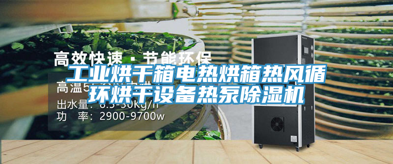 工业烘干箱电热烘箱热风循环烘干设备热泵猫咪成人官网
