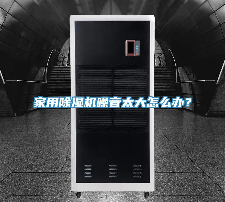 家用猫咪成人官网噪音太大怎么办？