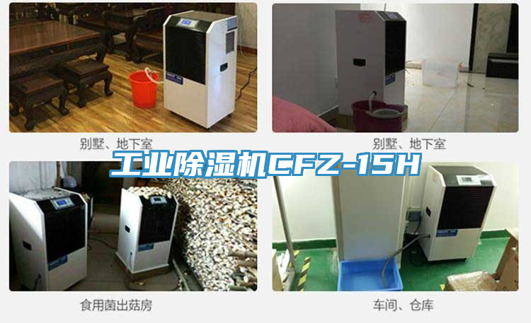 工业猫咪成人官网CFZ-15H