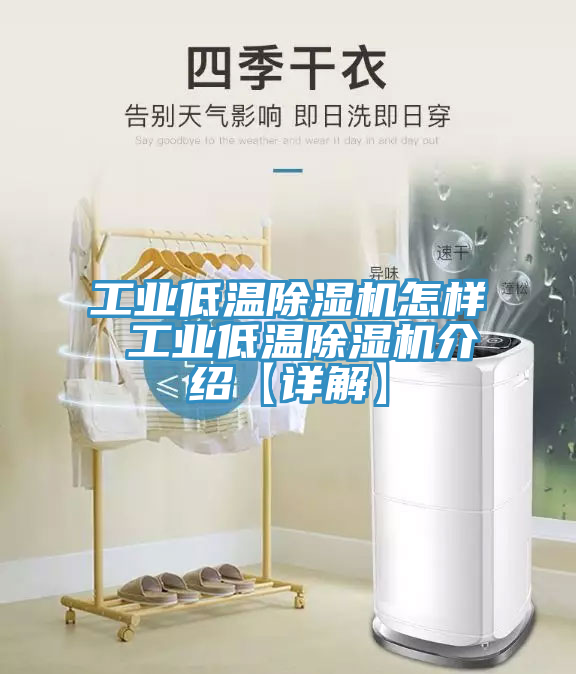 工业低温猫咪成人官网怎样 工业低温猫咪成人官网介绍【详解】