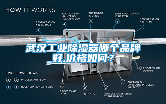 武汉工业除湿器哪个品牌好,价格如何？