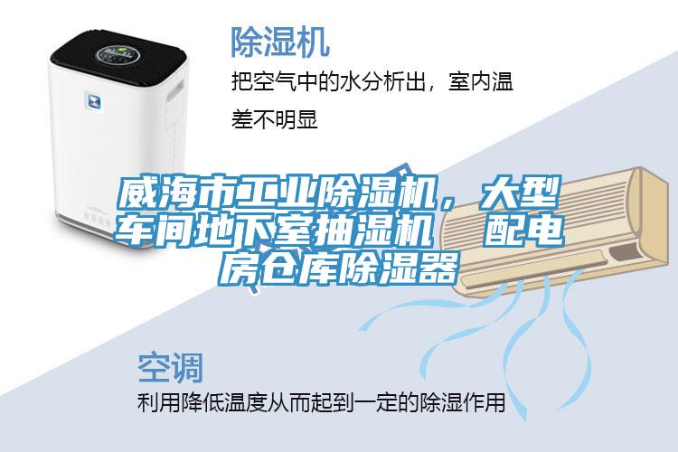 威海市工业猫咪成人官网，大型车间地下室抽湿机  配电房仓库除湿器