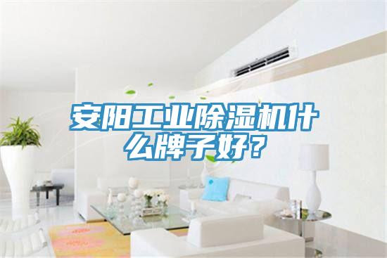 安阳工业猫咪成人官网什么牌子好？