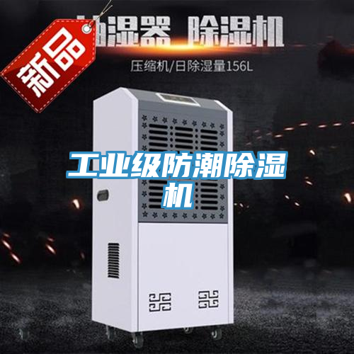 工业级防潮猫咪成人官网