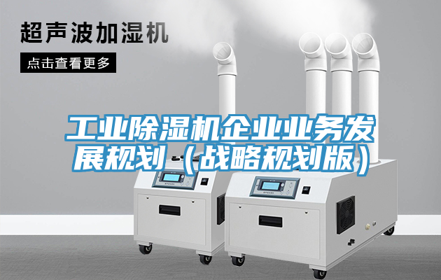 工业猫咪成人官网企业业务发展规划（战略规划版）