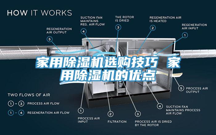 家用猫咪成人官网选购技巧 家用猫咪成人官网的优点
