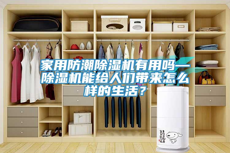 家用防潮猫咪成人官网有用吗—猫咪成人官网能给人们带来怎么样的生活？