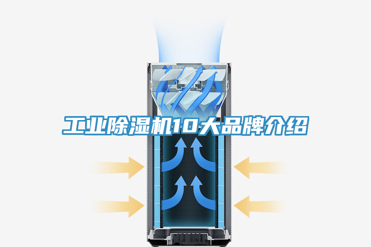 工业猫咪成人官网10大品牌介绍