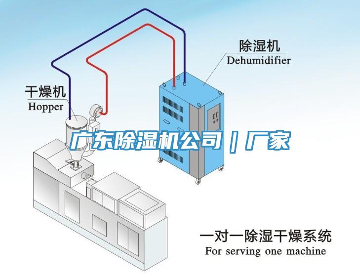 广东猫咪成人官网公司｜厂家