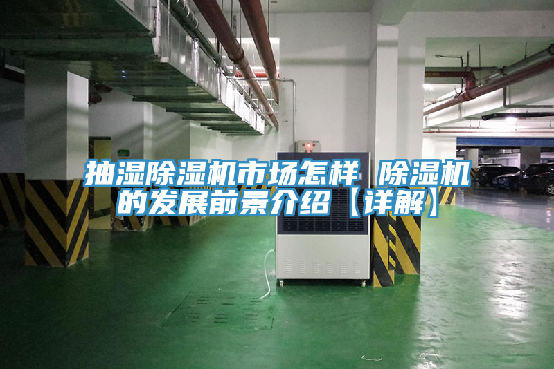 抽湿猫咪成人官网市场怎样 猫咪成人官网的发展前景介绍【详解】