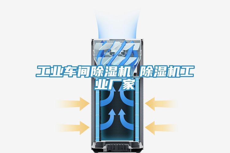 工业车间猫咪成人官网 猫咪成人官网工业厂家