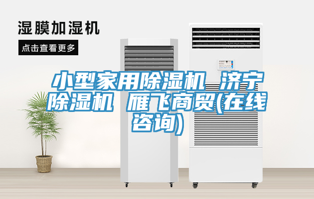 小型家用猫咪成人官网 济宁猫咪成人官网 雁飞商贸(在线咨询)