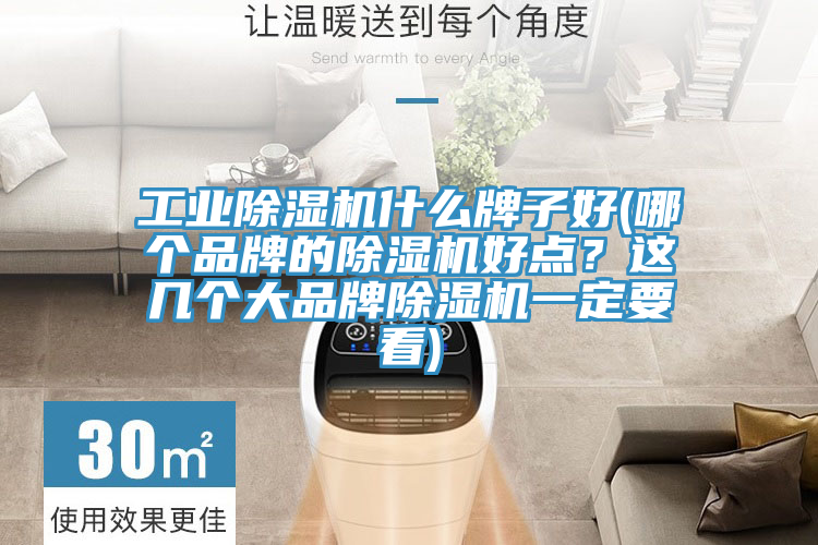 工业猫咪成人官网什么牌子好(哪个品牌的猫咪成人官网好点？这几个大品牌猫咪成人官网一定要看)