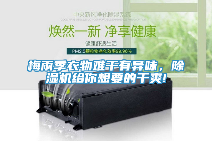 梅雨季衣物难干有异味，猫咪成人官网给你想要的干爽!